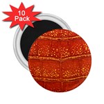 Ll Alligator 2.25  Magnet (10 pack)