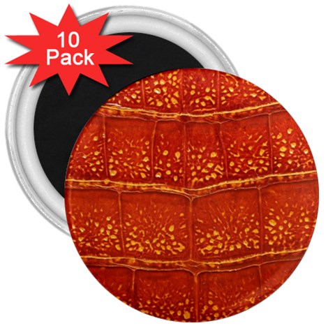 Ll Alligator 3  Magnet (10 pack) from ArtsNow.com Front