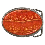 Ll Alligator Belt Buckle