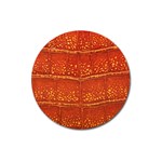 Ll Alligator Magnet 3  (Round)