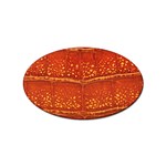 Ll Alligator Sticker Oval (100 pack)