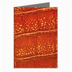 Ll Alligator Greeting Cards (Pkg of 8)