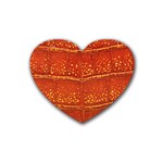 Ll Alligator Heart Coaster (4 pack)