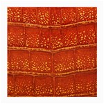 Ll Alligator Glasses Cloth (Medium, Two Sides)