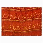 Ll Alligator Glasses Cloth (Large)