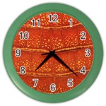 Ll Alligator Color Wall Clock