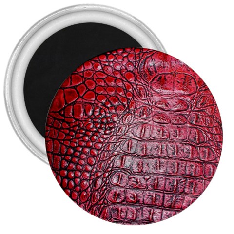 Ll Alligator Red 3  Magnet from ArtsNow.com Front