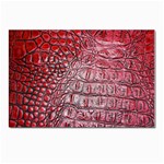 Ll Alligator Red Postcard 4  x 6 