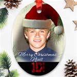 One Direction One Direction 31160676 1600 900 Ornament (Oval)