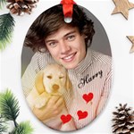 One Direction One Direction 31160676 1600 900 Ornament (Oval)