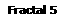 Fractal 5